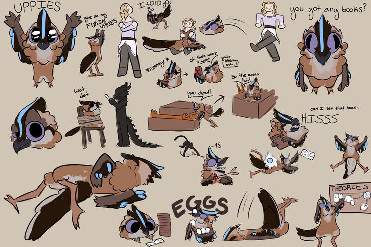 Untitled Untitled